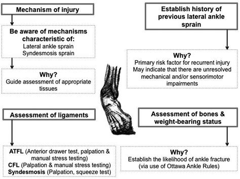 test for interosseous membrane tear|Sports ankle injuries Assessment and management .